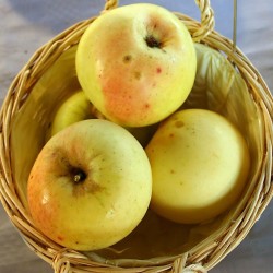 Auteur Sven Teschke, source Wikipedia