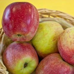 Auteur : Sven Teschke (Wikipedia)