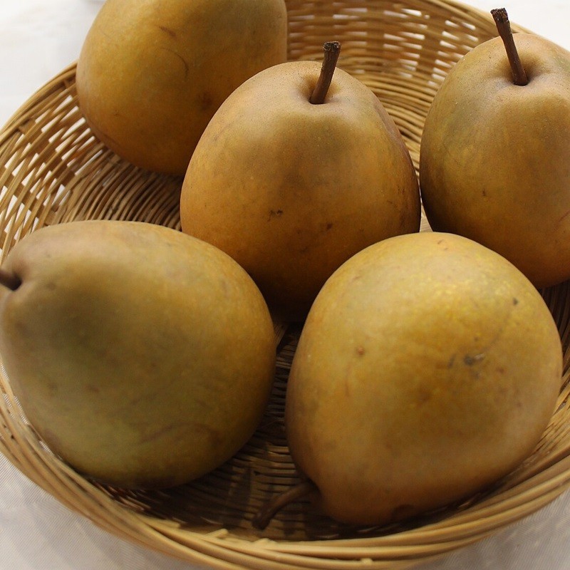 Auteur : APictche (Wikipedia)